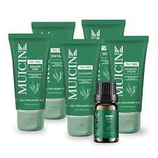 Muicin tea tree 6 step facial kit