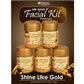 jessica 5 step gold facial 230 gm jar